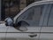 2026 Ford Expedition Tremor®
