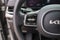 2025 Kia Carnival SX