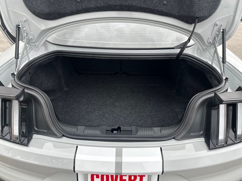 2017 Ford Mustang Shelby GT350