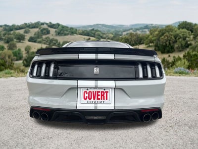 2017 Ford Mustang Shelby GT350