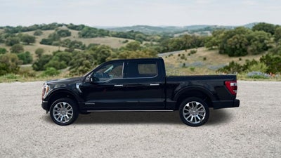 2023 Ford F-150 Limited