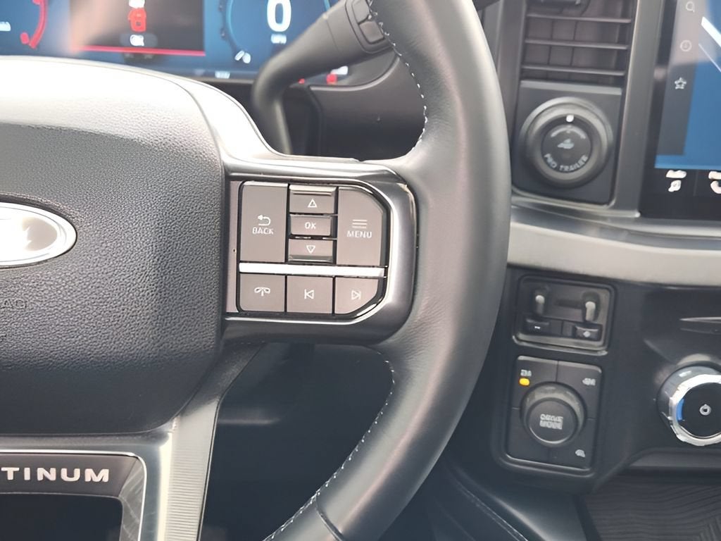 2025 Ford F-250 Platinum