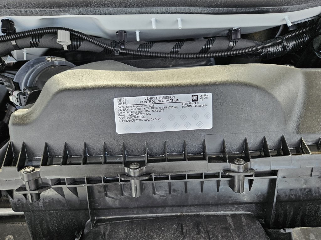 2025 Chevrolet Express Passenger 1LS