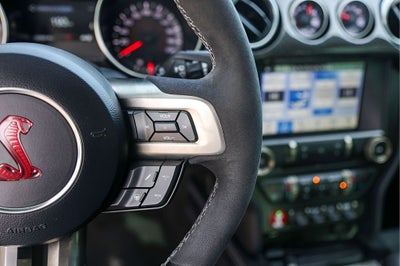 2019 Ford Mustang Shelby GT350