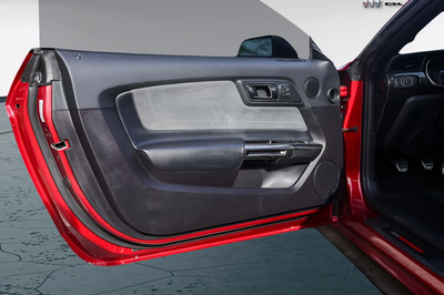 2019 Ford Mustang Shelby GT350