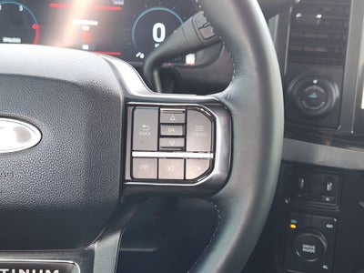 2025 Ford F-250SD Platinum