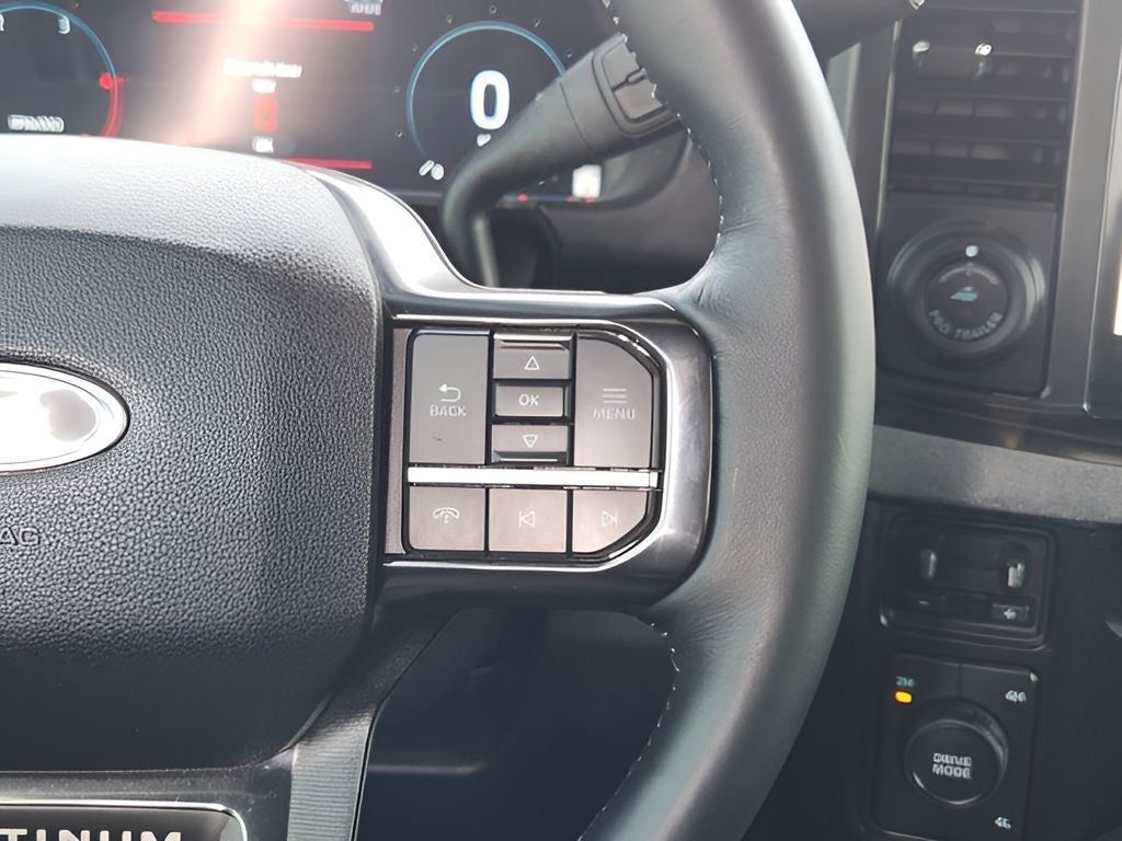 2025 Ford F-250SD Platinum