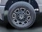 2025 Ford F-250SD Platinum