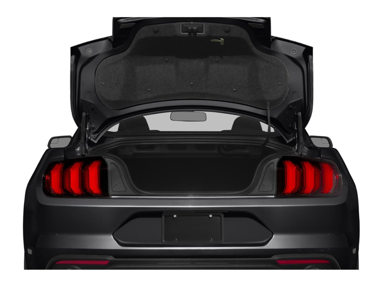 2018 Ford Mustang GT Premium Fastback