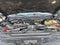 2017 Ford Super Duty F-350 SRW Platinum 4WD Crew Cab 6.75' Box