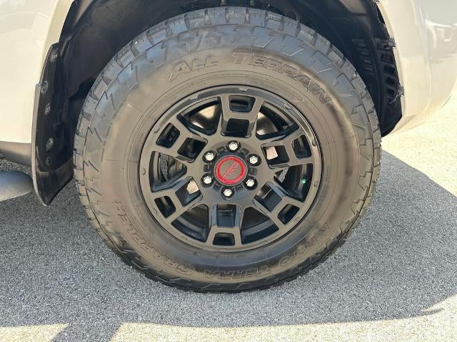 2024 Toyota 4Runner SR5 Premium 4WD (Natl)