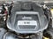 2016 Jeep Wrangler Unlimited Black Bear