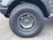 2024 Ford Bronco Everglades