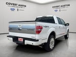 2013 Ford F-150 Platinum